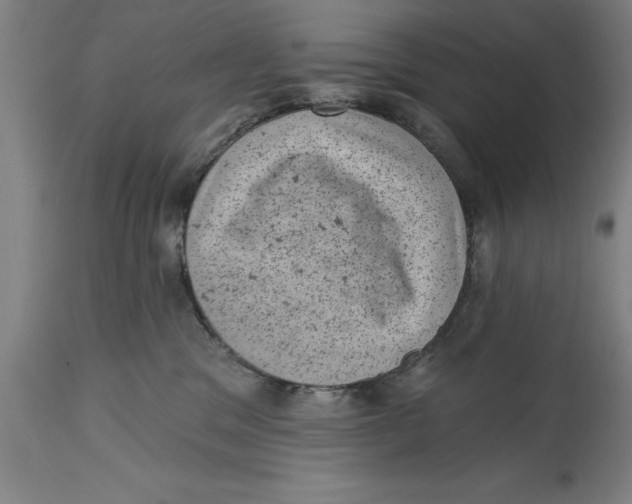 X0000114690329200911181259