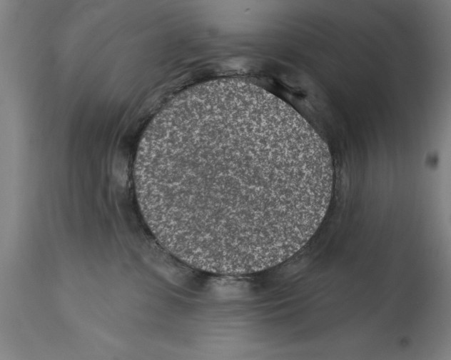 X0000114690331200911181259