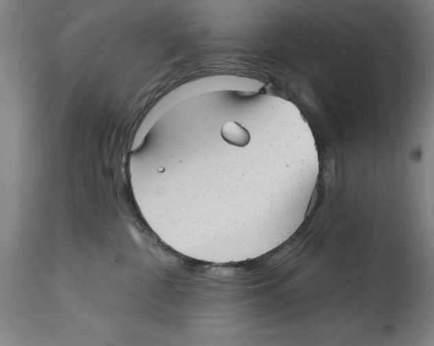 X0000114690332200911181259