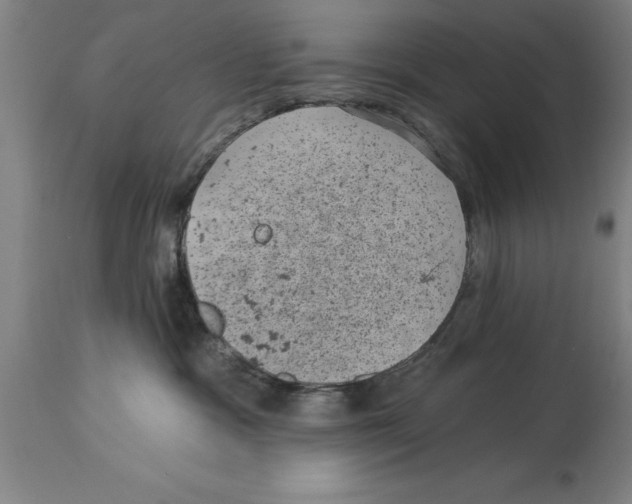 X0000114690333200911181259