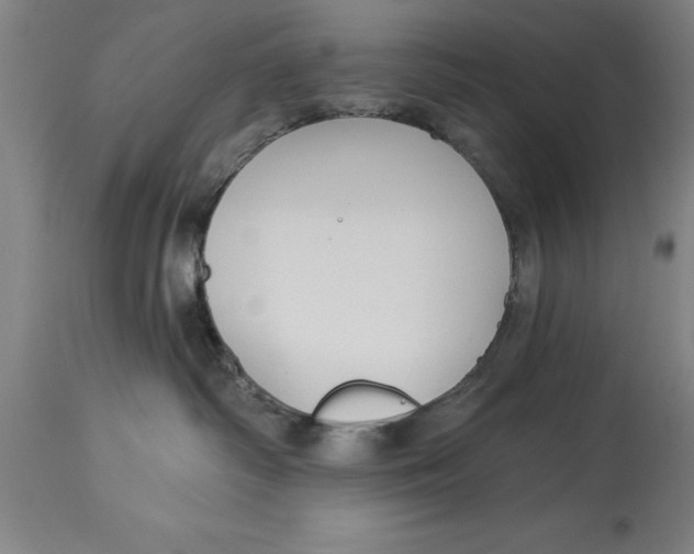 X0000114690334200911181259