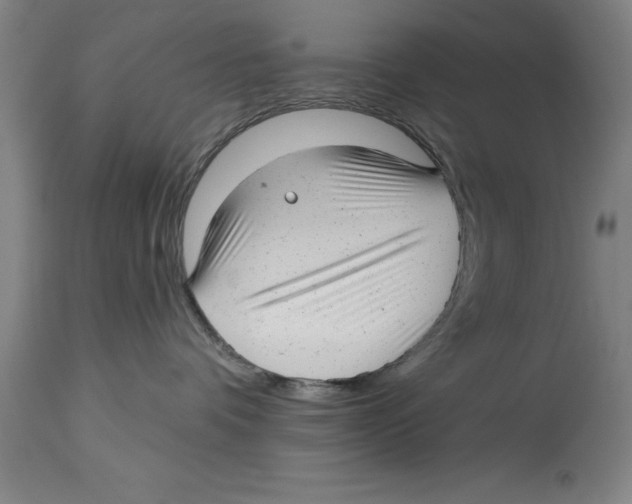 X0000114690336200911181259