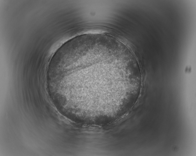 X0000114690337200911181258