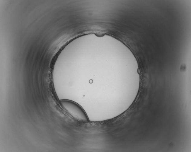 X0000114690338200911181258