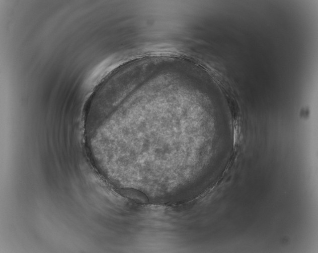 X0000114690339200911181258