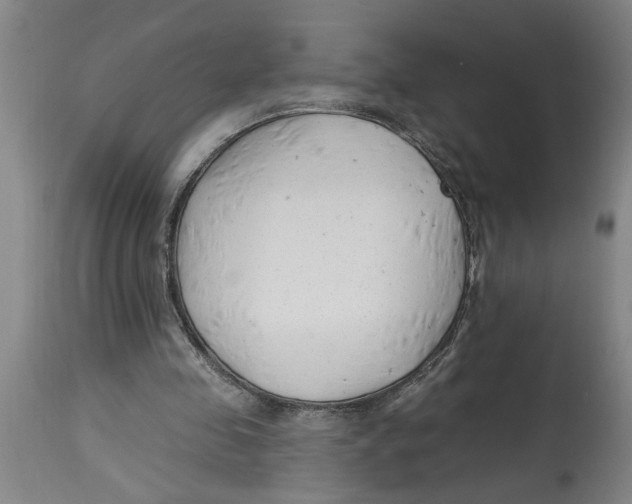 X0000114690341200911181258