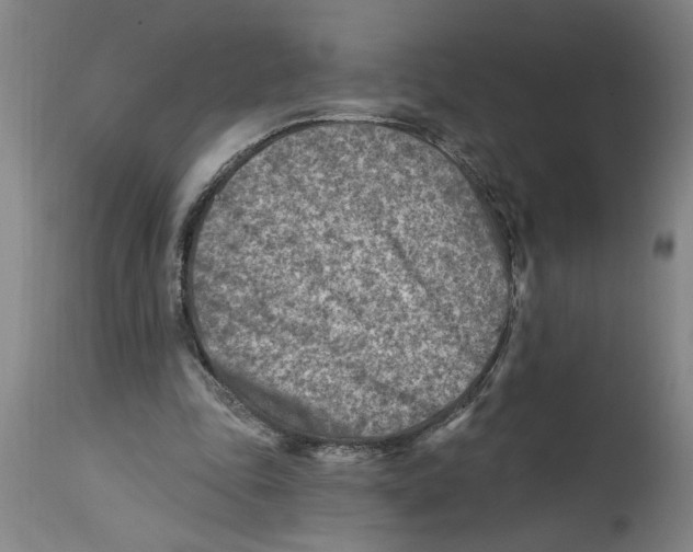 X0000114690343200911181258