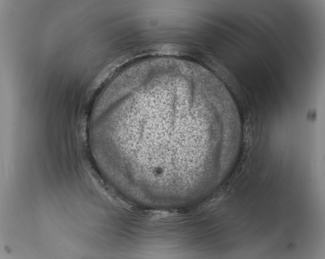 X0000114690347200911181258