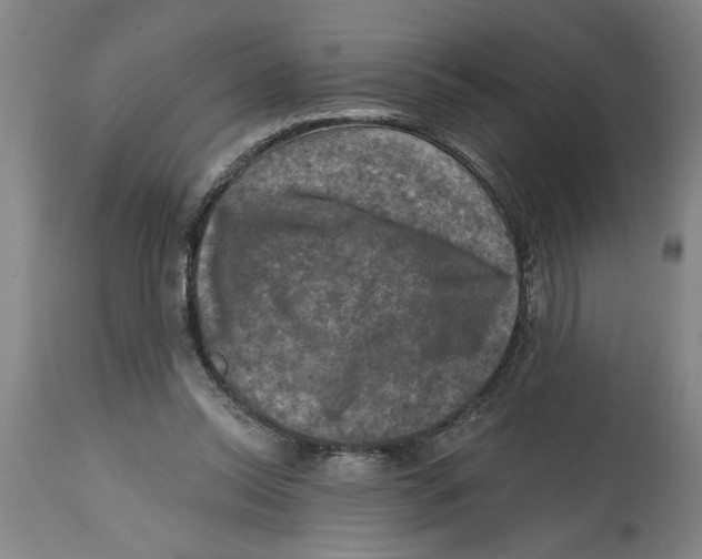 X0000114690350200911181258