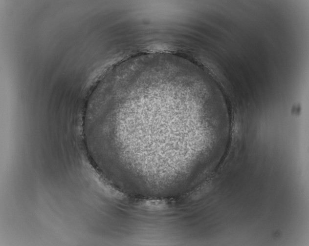 X0000114690353200911181258