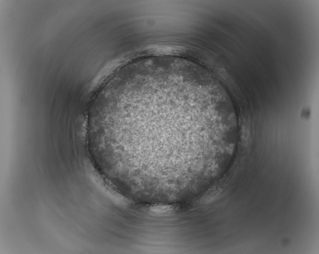 X0000114690357200911181258