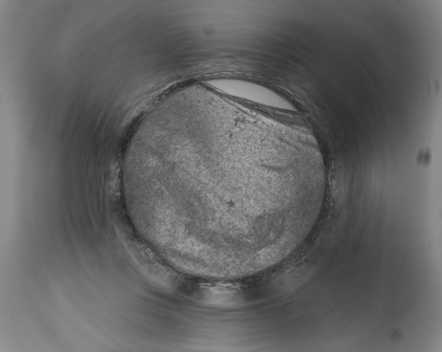 X0000114690359200911181258