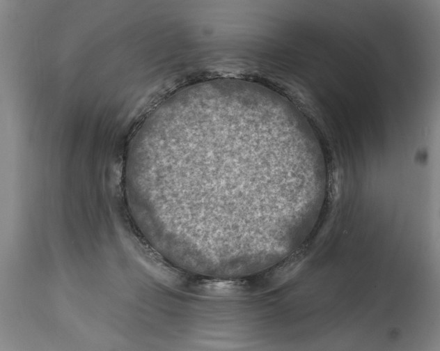 X0000114690365200911181258