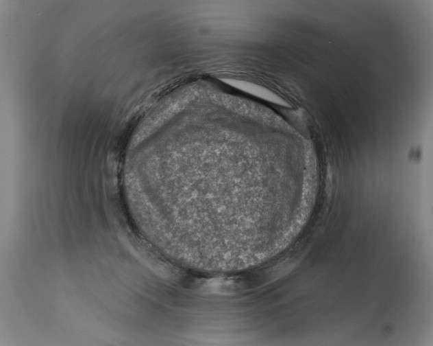 X0000114690366200911181258