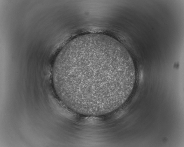 X0000114690367200911181258