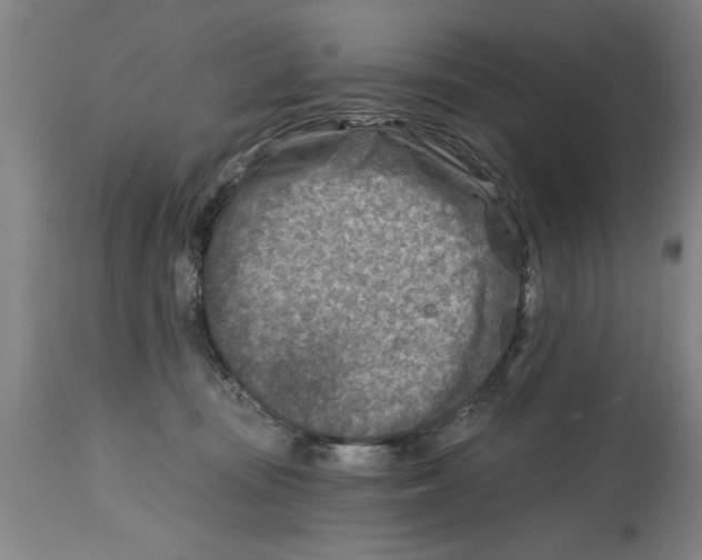 X0000114690371200911181259