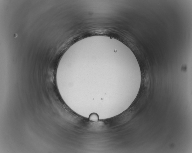 X0000114690374200911181259