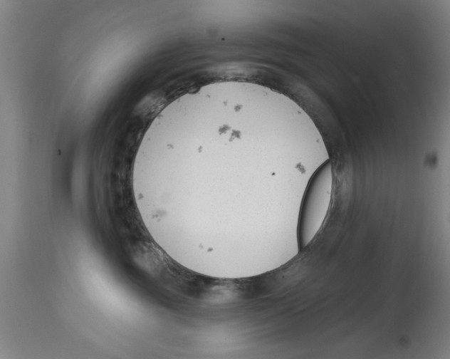 X0000114690381200911181259