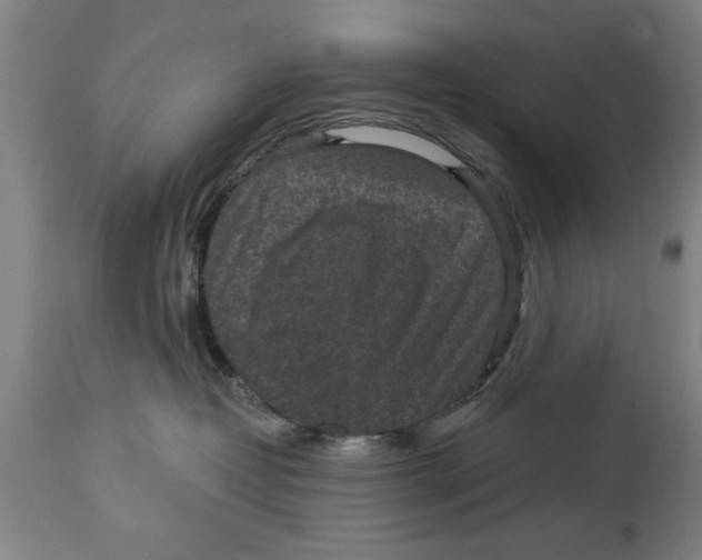 X0000114690382200911181259