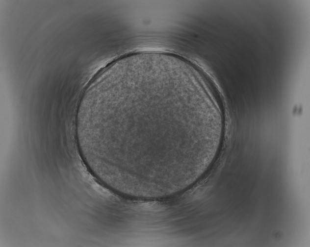 X0000114690385200911181258