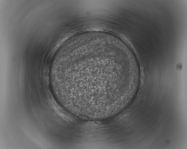 X0000114690386200911181258