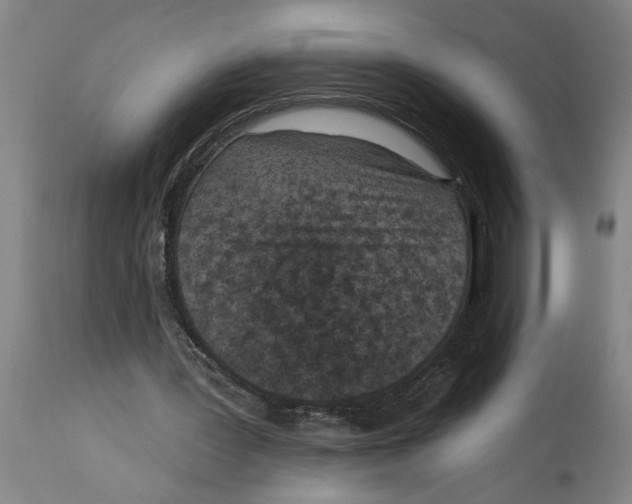 X0000114690387200911181258