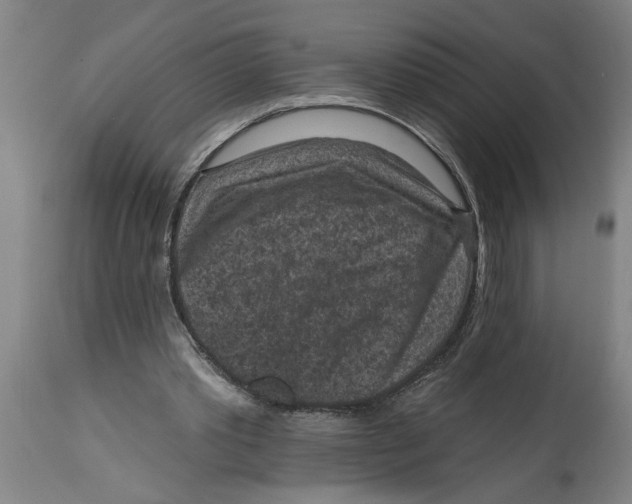 X0000114690389200911181258