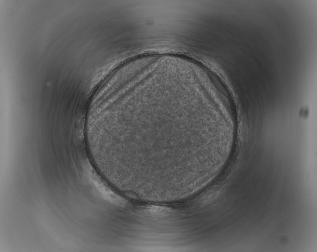 X0000114690393200911181258