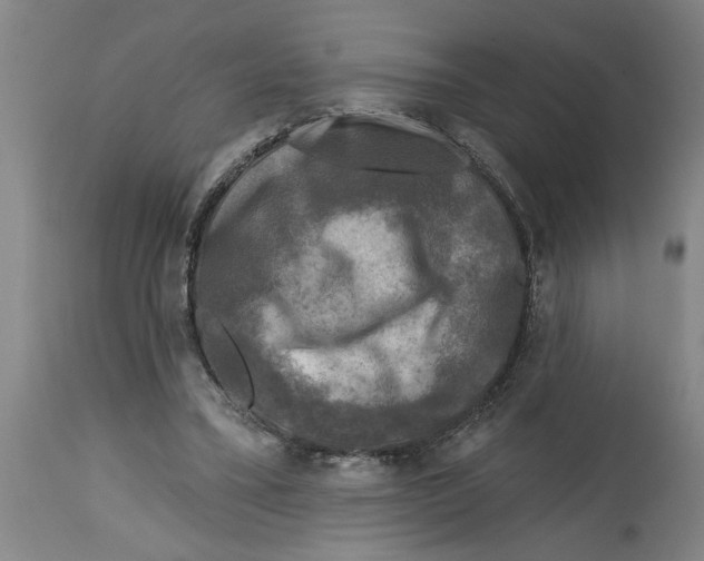 X0000114690395200911181258