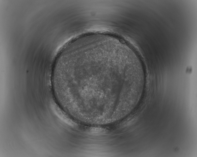 X0000114690399200911181258