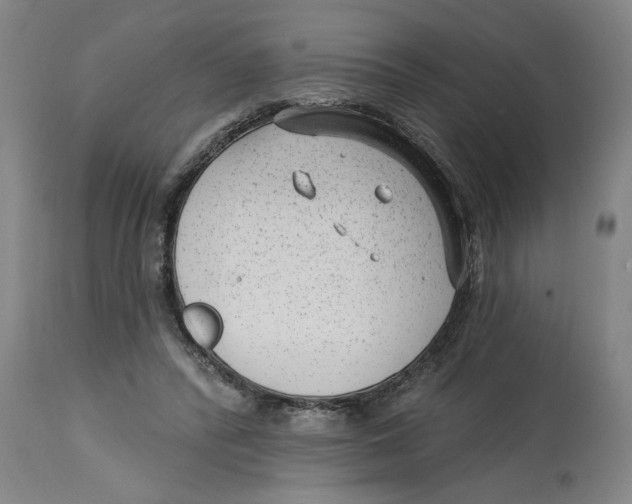 X0000114690400200911181258