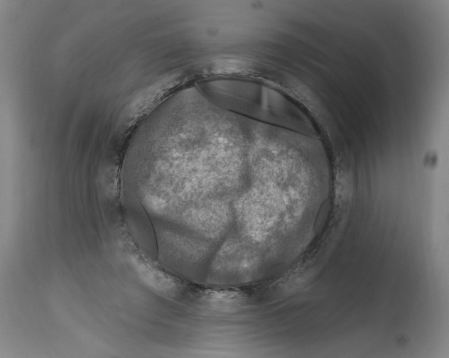 X0000114690401200911181258