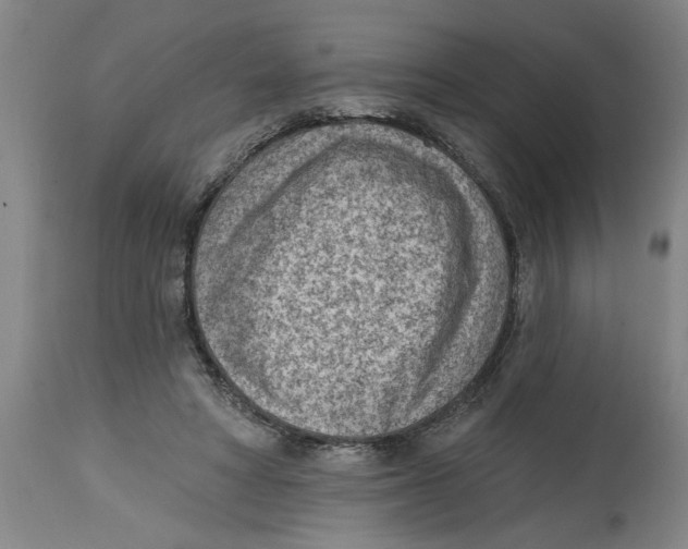 X0000114690402200911181258