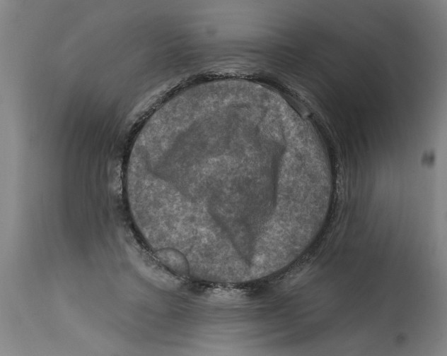 X0000114690403200911181258