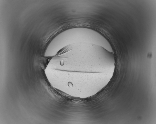 X0000114690405200911181258