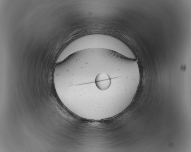 X0000114690409200911181258