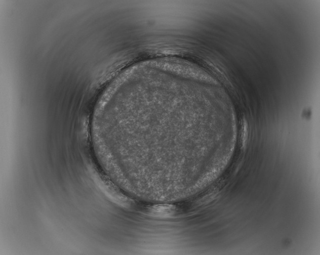 X0000114690410200911181258