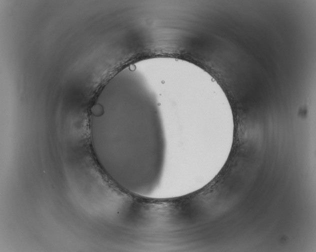 X0000114690411200911181258