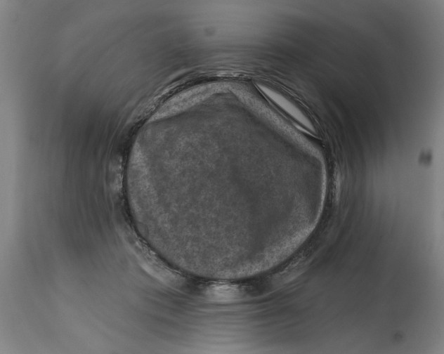 X0000114690413200911181258