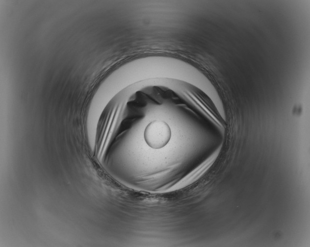 X0000114690415200911181258