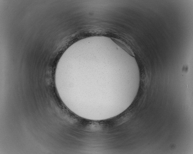 X0000114690416200911181258