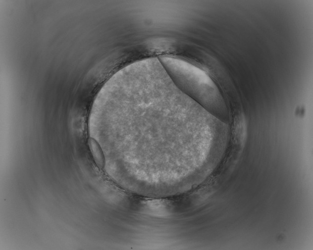 X0000114690417200911181258