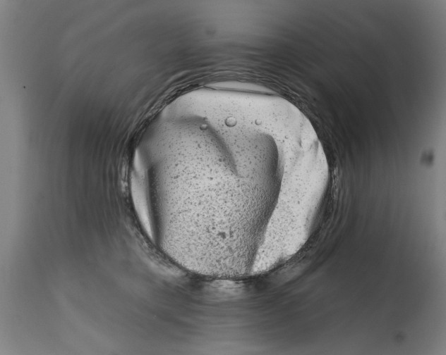 X0000114690421200911181258