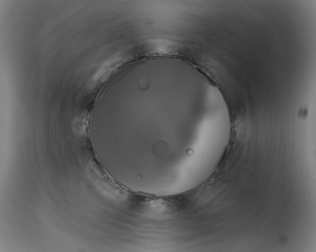 X0000114690423200911181258