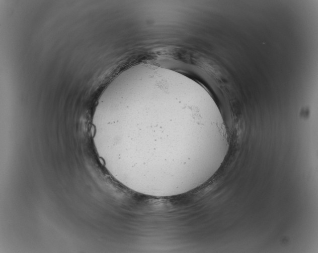 X0000114690424200911181258