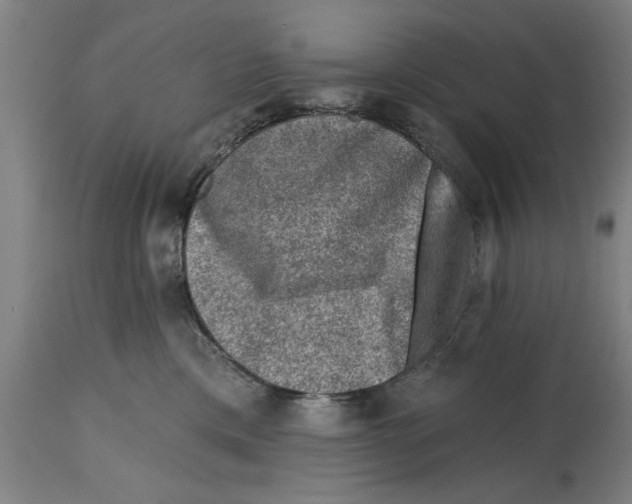 X0000114690425200911181258