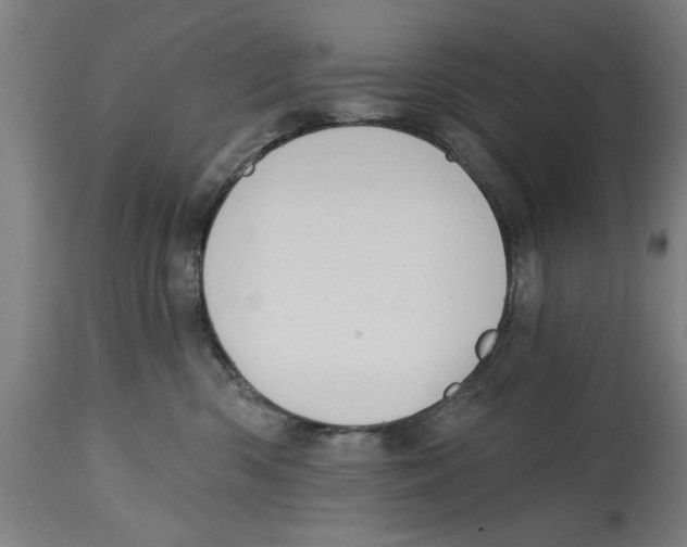 X0000114690426200911181257