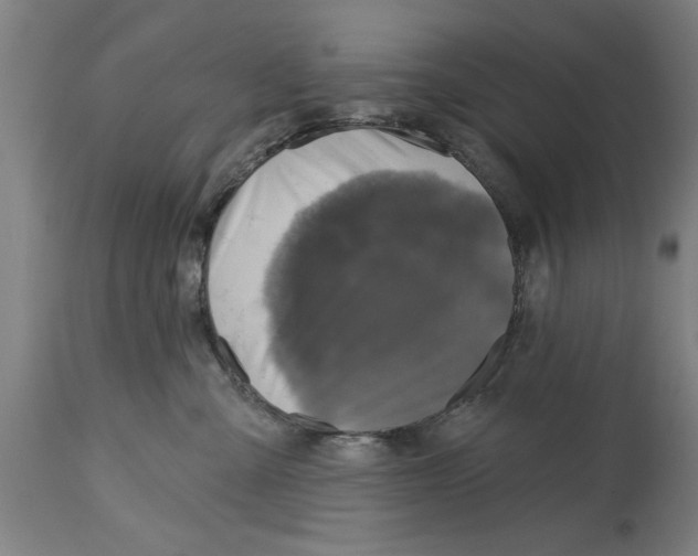 X0000114690427200911181257