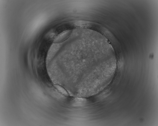 X0000114690429200911181257