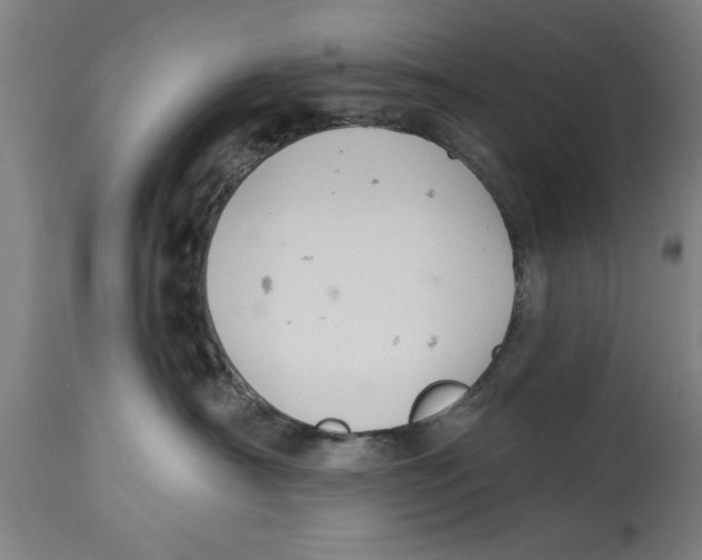 X0000114690430200911181257